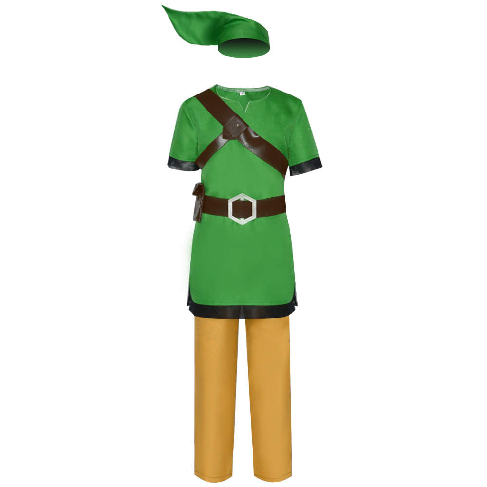Link Cosplay, The Legend of Zelda Skyward Sword Link Cosplay Costume For  Men