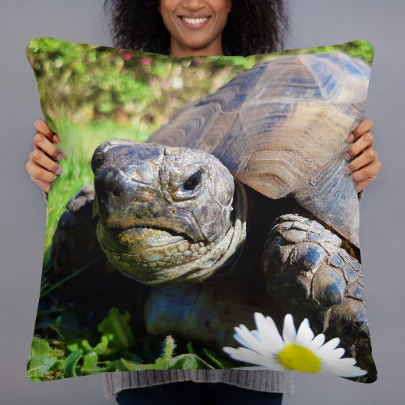 Cushion Inserts - My Turtle And I