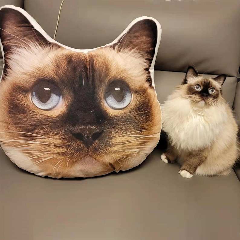 Personalized 3D Throw Pillow