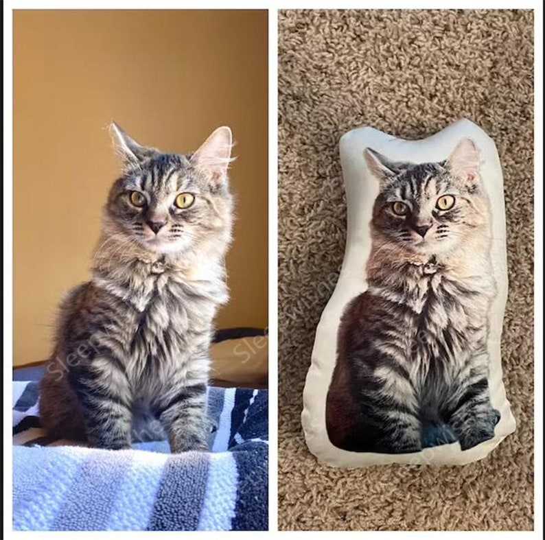 Custom Cat Face Pillow Life Like Cat Pillow Cat Lover - Ireland