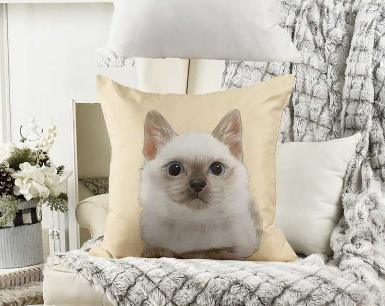 Pillow hotsell pet cat