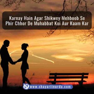 sad love shayari in urdu english