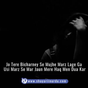 shayari in urdu sad love images english