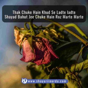 shayari in urdu sad love english