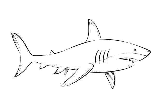 Hand Drawn Shark Outline Illustration Creativity and Fun Digital Download  
