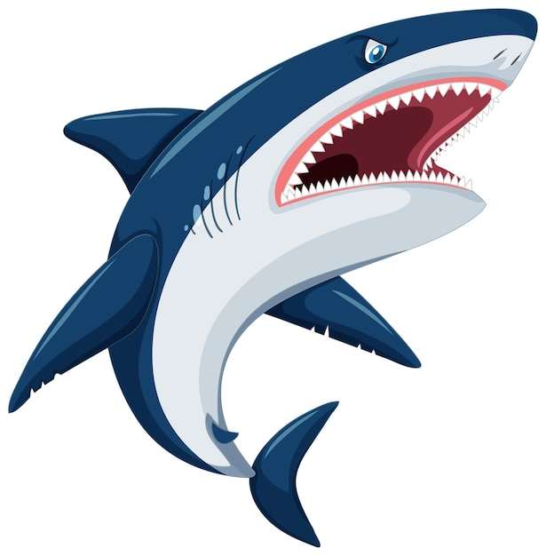 Aggressive Great White Shark Cartoon JPG Free, Shark Svg Free