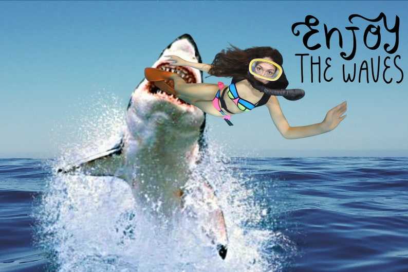 Great White Shark PNG, Shark Svg#7