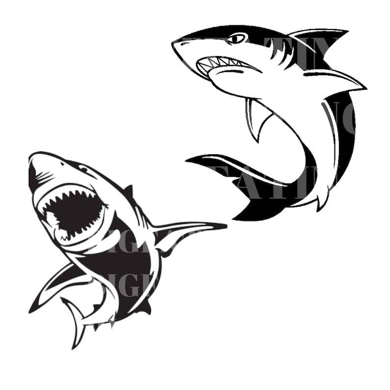 Shark Mouth Svg 