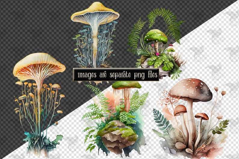 Mushroom Svg, Watercolor Mushrooms Clipart for commercial use#5