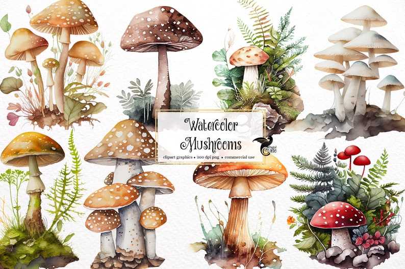 Mushroom Svg, Watercolor Mushrooms Clipart for commercial use 