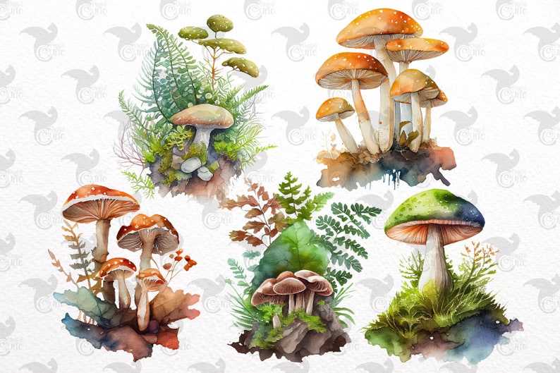 Mushroom Svg, Watercolor Mushrooms Clipart for commercial use#3