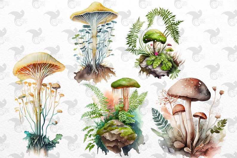 Mushroom Svg, Watercolor Mushrooms Clipart for commercial use#4