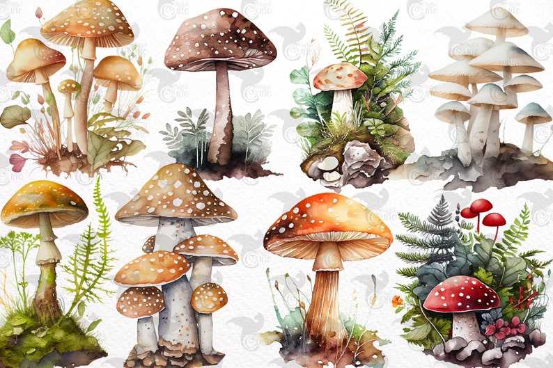 Mushroom Svg, Watercolor Mushrooms Clipart for commercial use