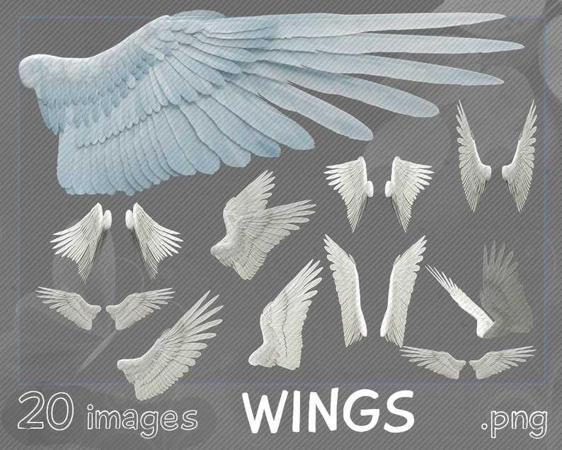 Angels Wings Svg Overlays Angel Wings digital clipart wings png