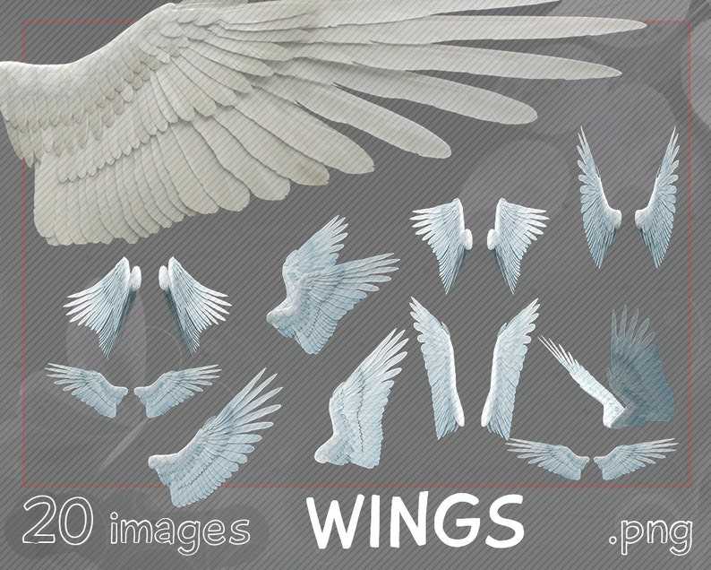 Angels Wings Svg Overlays Angel Wings digital clipart wings png