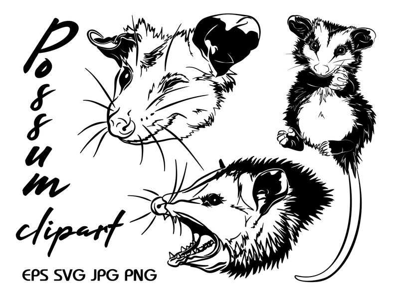 Possum Svg, Scream Svg 