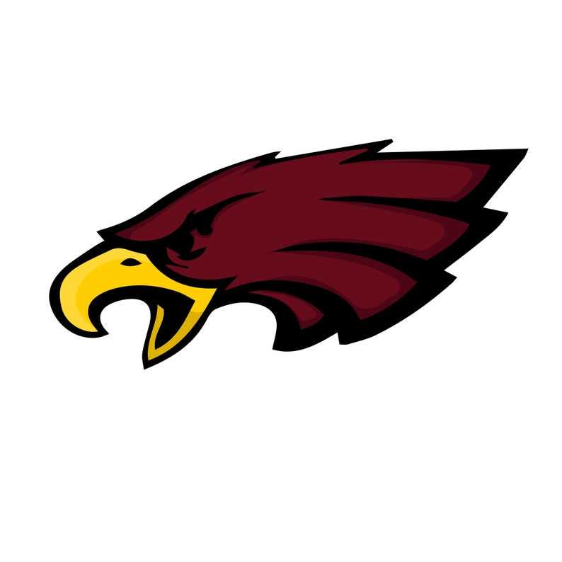 Eagle Head Svg, Eagle Svg Bundle | Eagle Face Svg | Eagles Mascot Svg | Philadelphia Football Svg#3