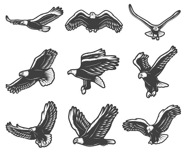 Eagles Svg Free, Vintage Beautiful Flying Eagles Set Instant Download 