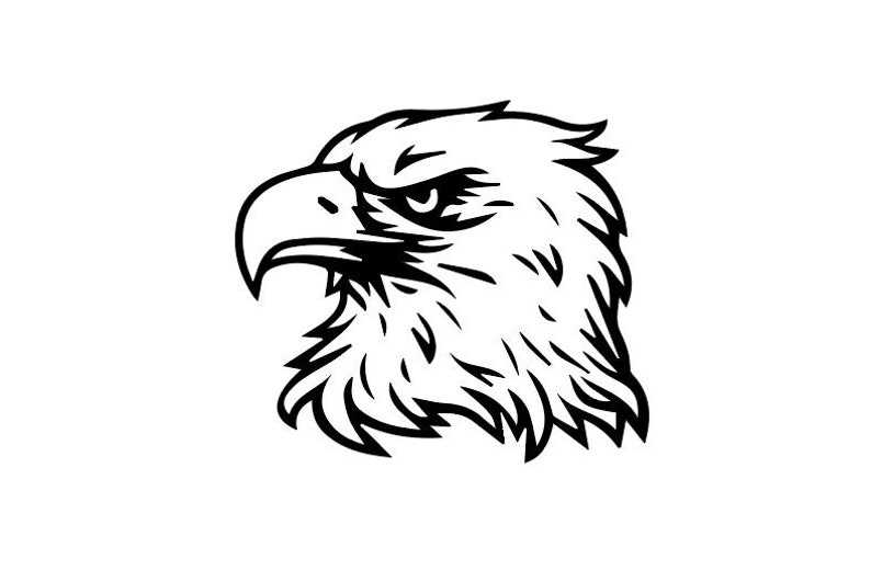 Eagle Head Svg, Bald Eagle SVG PNG EPS Digital Download 