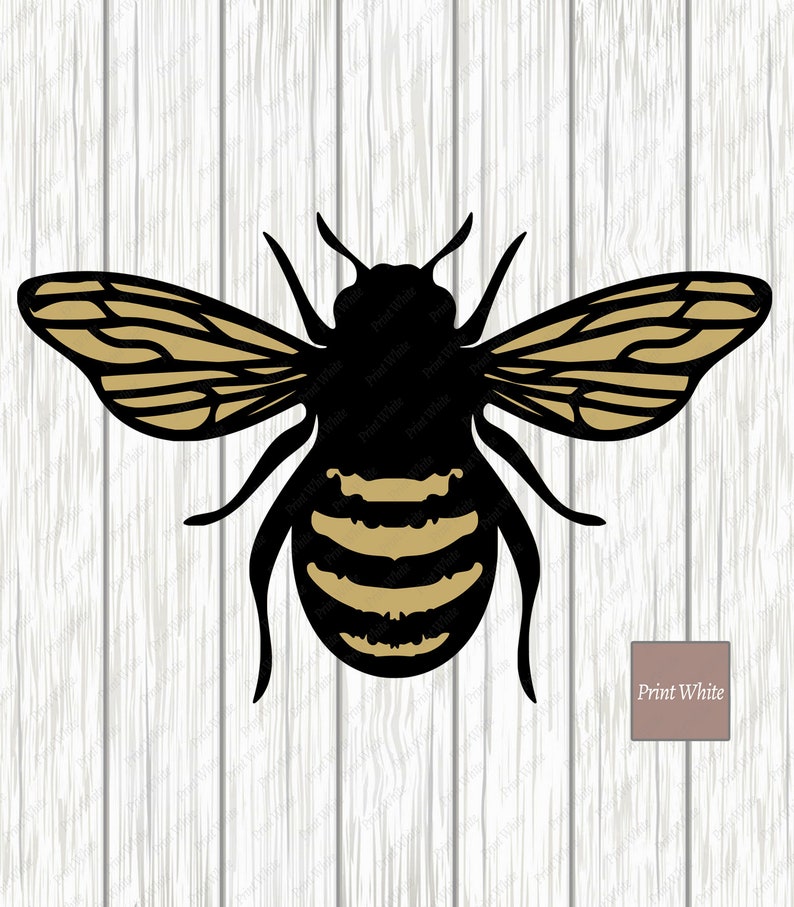 Bee Svg Bundle Honeycomb Svg Honey Dipper Cut File Cricut Cutting Files ...