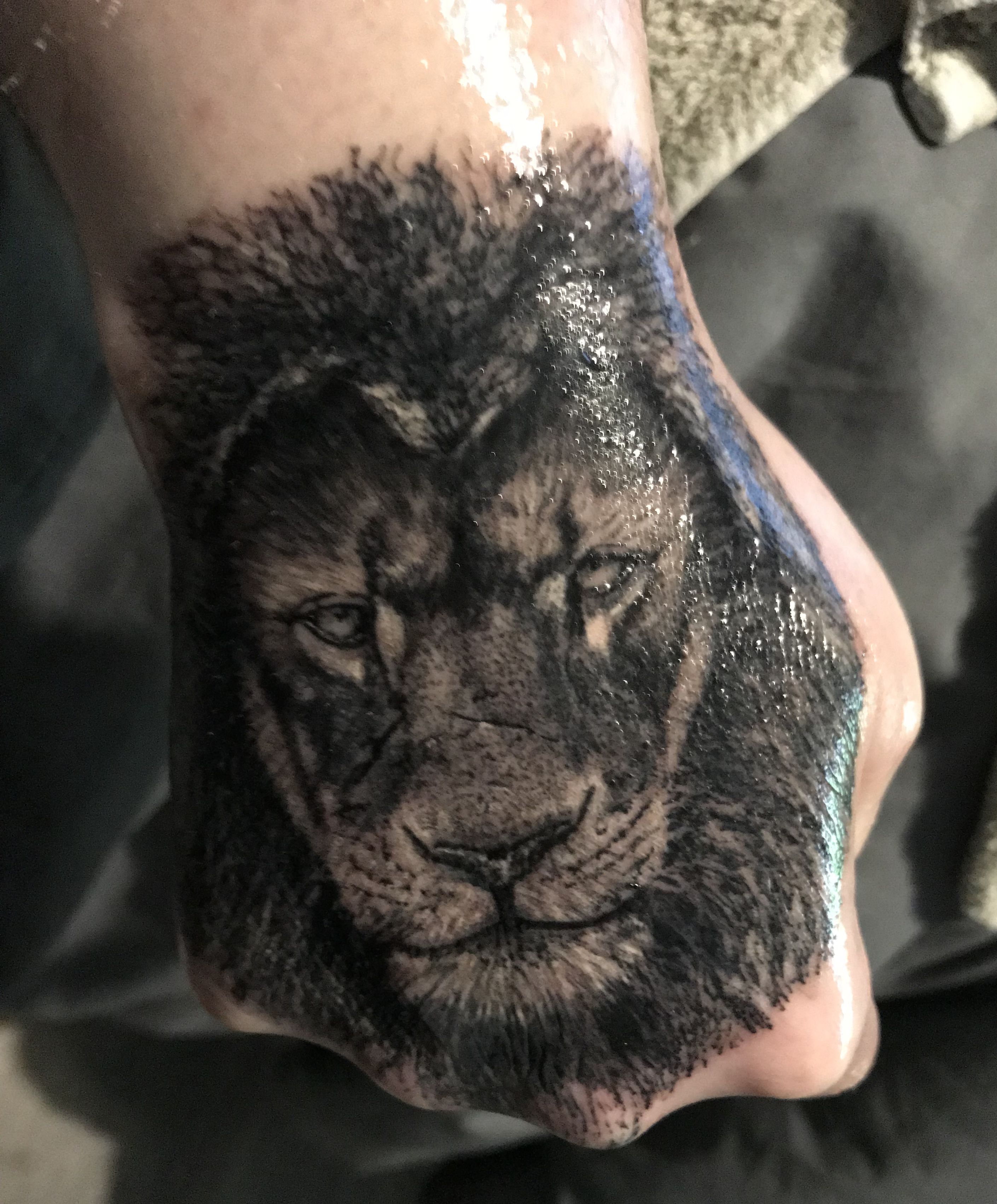 Lion Hand Tattoo, 3d Lion Tattoo On Hand