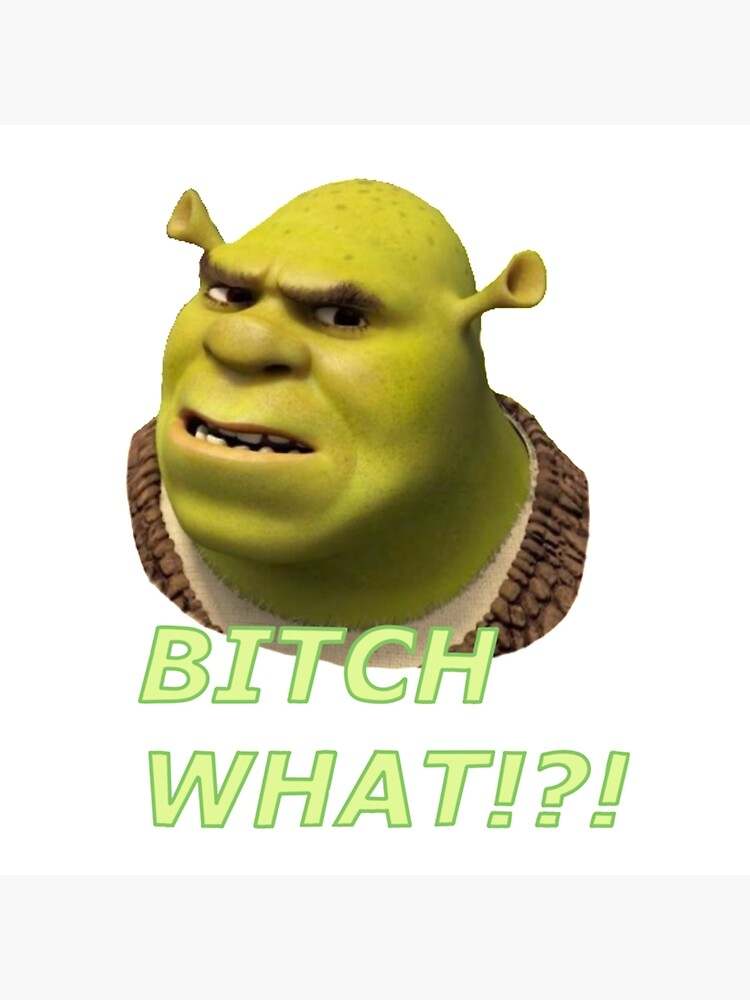 Shrek Meme Sticker | Sticker