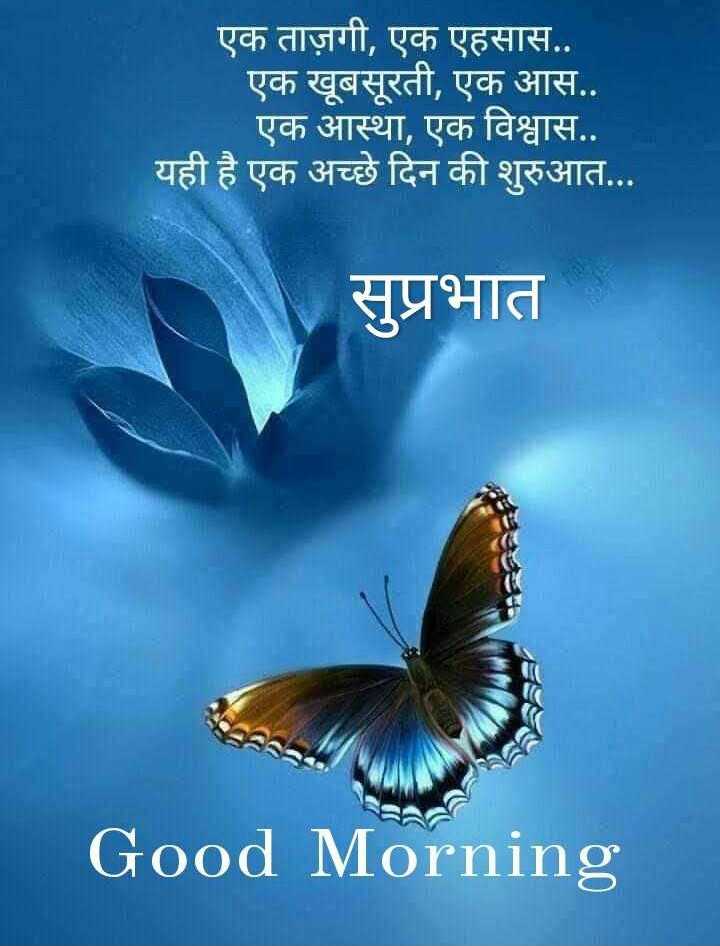 Good Morning Images Quotes in Hindi 2