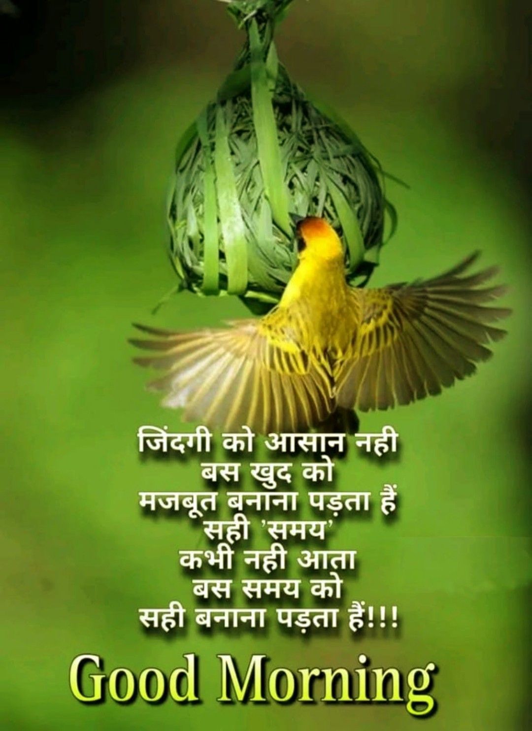 Good Morning Images with Quotes for Whatsapp in Hindi 3