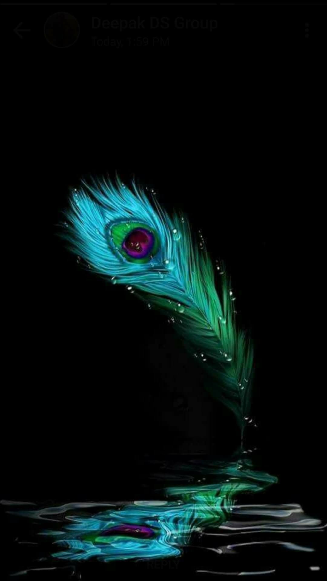 Feather 1125x2436 Resolution Wallpapers Iphone XSIphone 10Iphone X