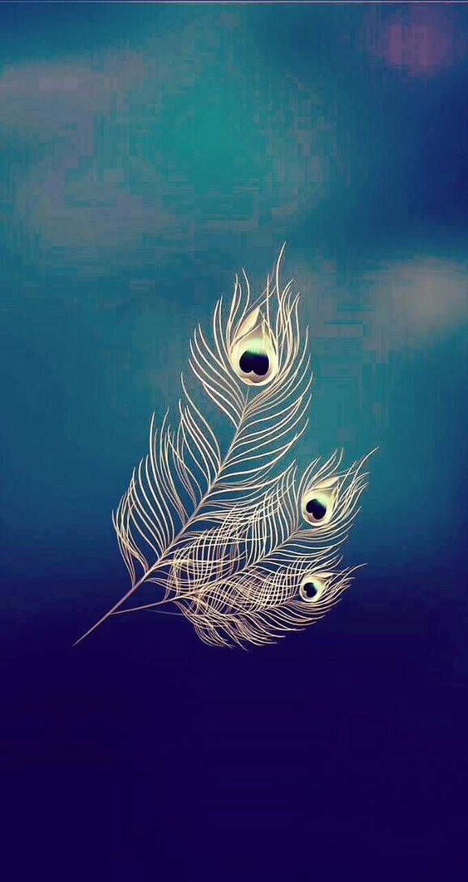 Peacock Feather 3D wallpaper by subarnadipta  Download on ZEDGE  a0c2