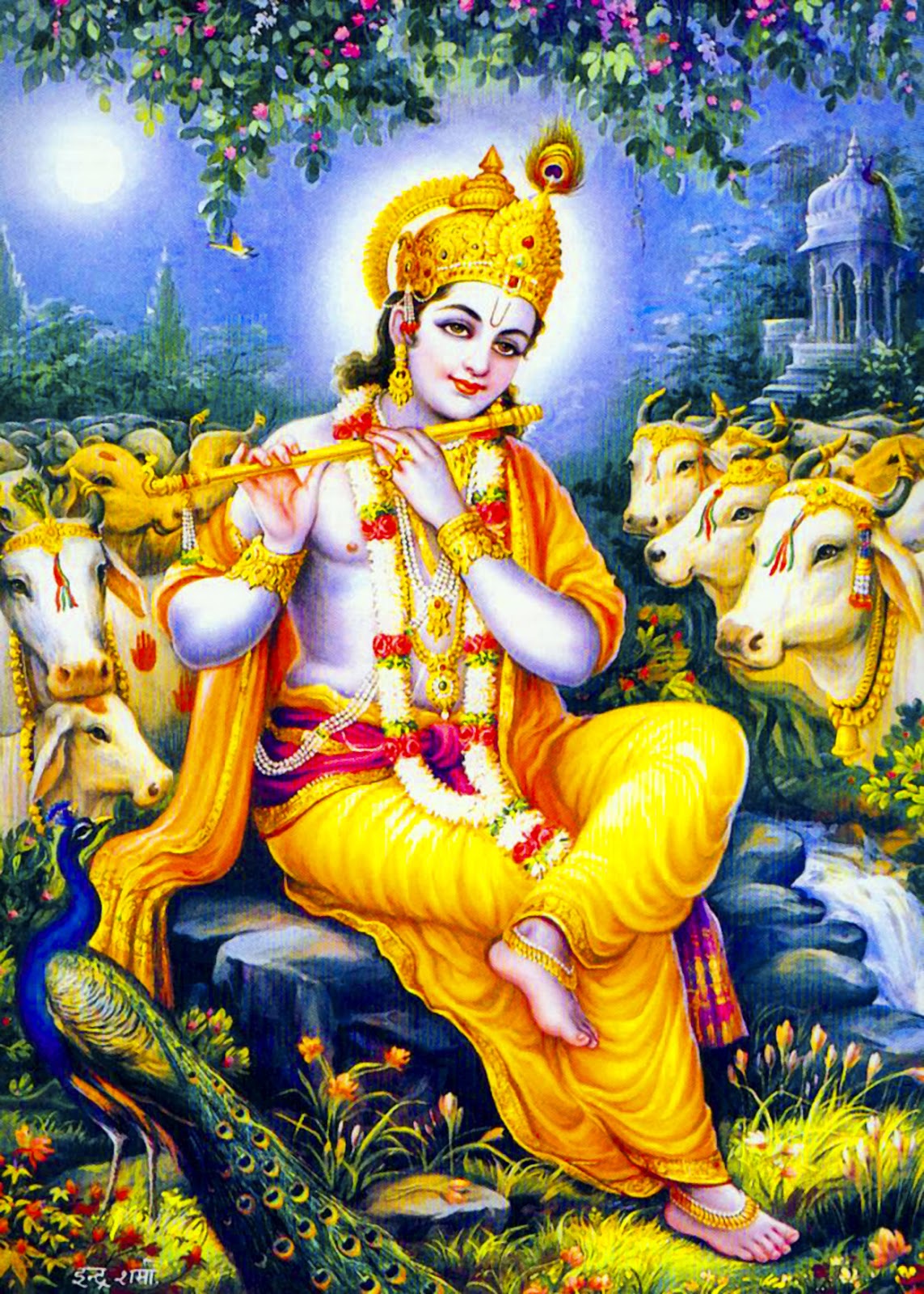 god wallpaper free download: Murlidhar photo | Lord krishna hd wallpaper, Lord  krishna images, Radha krishna art