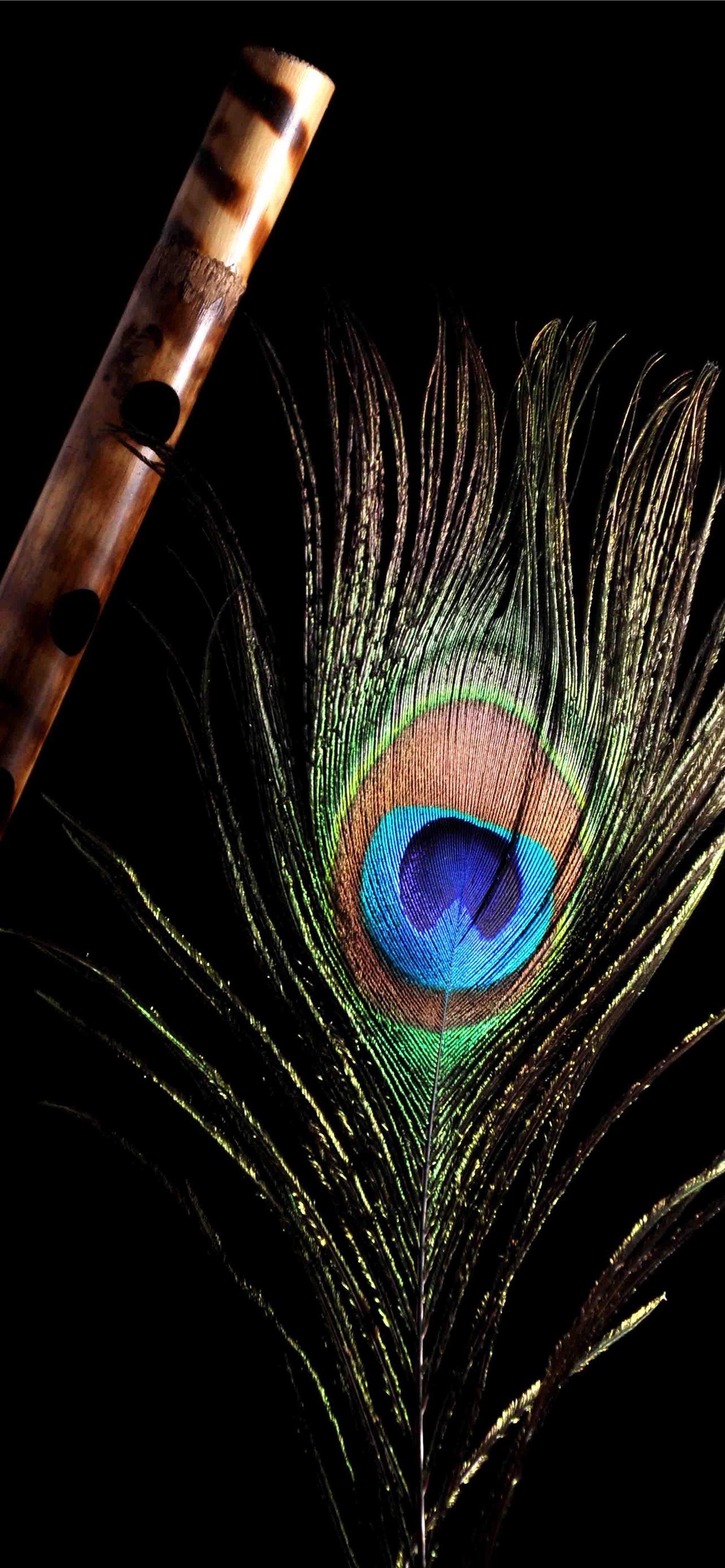Download Krishna Phone Peacock Feather Wallpaper | Wallpapers.com