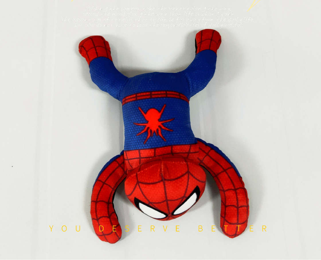 Spiderman, Accessories