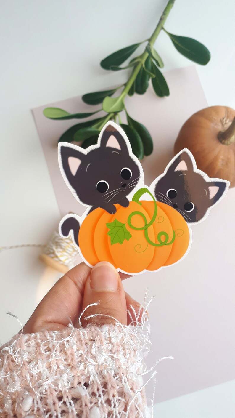Pumpkin Cat Vinyl Sticker Beautiful And Refined Glossy Cute Pumpkin Stickers  