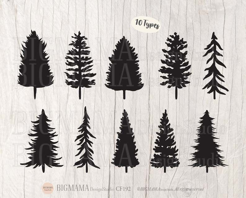 Pine Tree Svg, Pine Tree SVG - Christmas Tree Cut File - Tree Bundle PNG#2