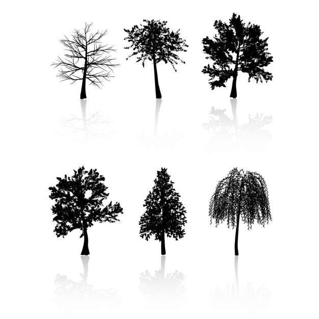 Pine Tree Svg Free, Free Vector Collection Of Trees On A White Background png#1