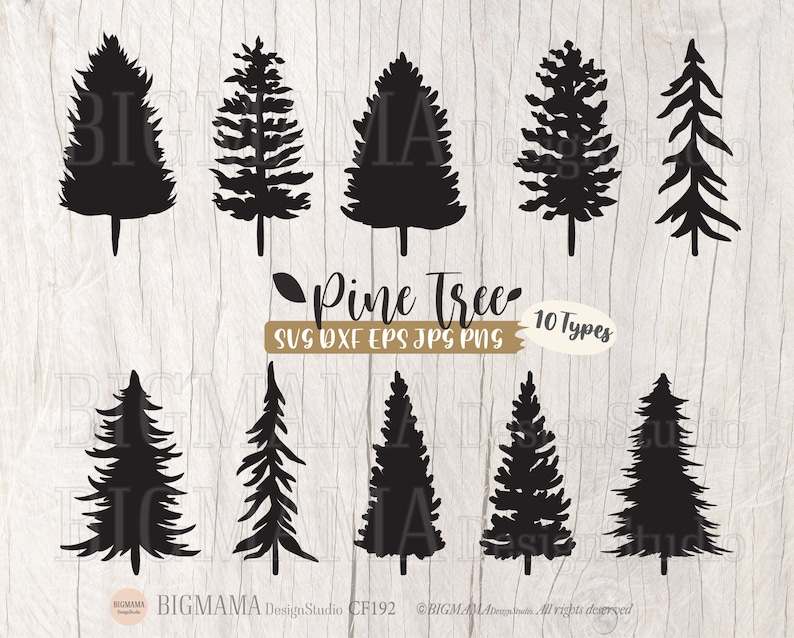 Pine Tree Svg, Pine Tree SVG - Christmas Tree Cut File - Tree Bundle PNG#1