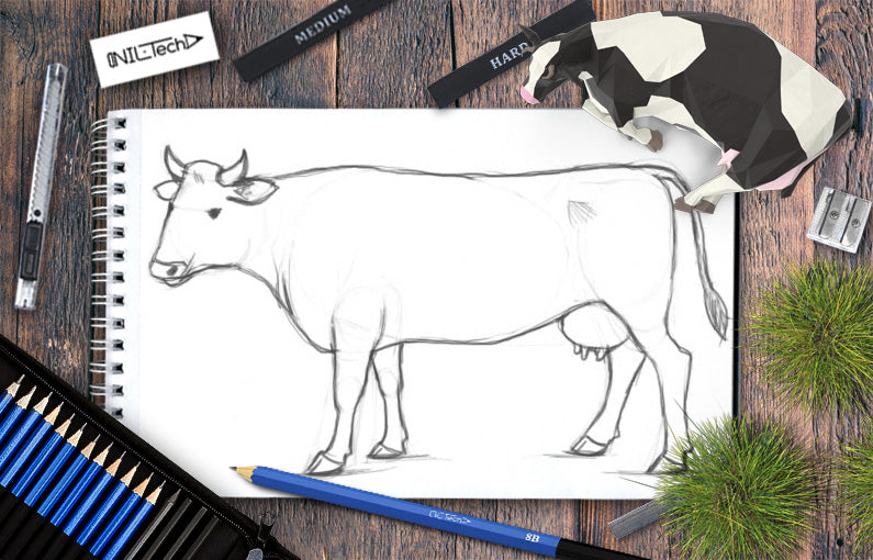 cow drawing images