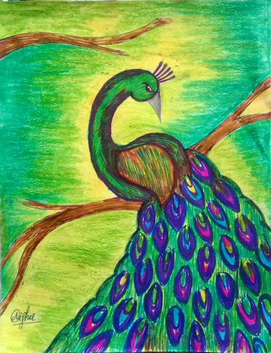 peacock drawing images with colour