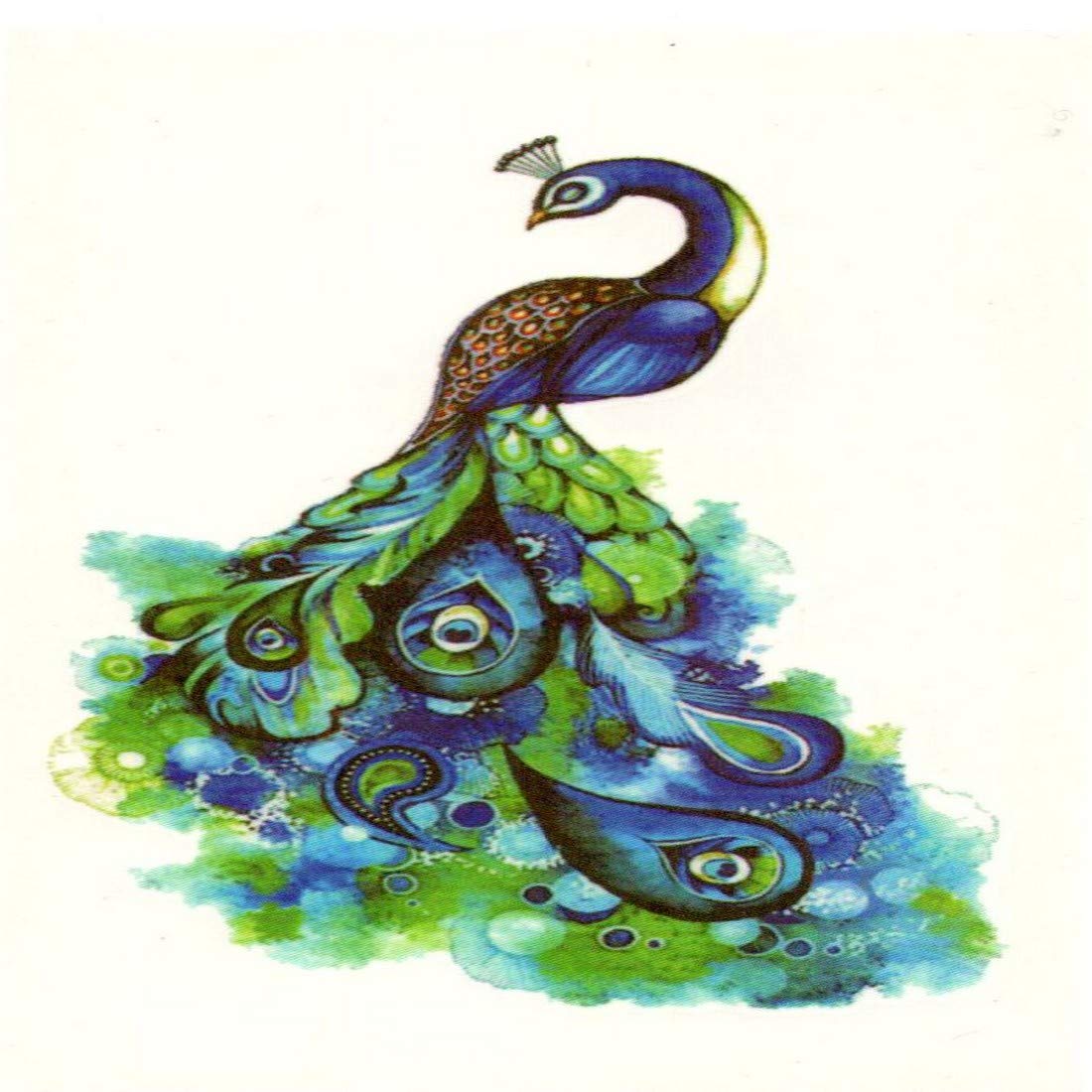 beautiful peacock drawing with colour