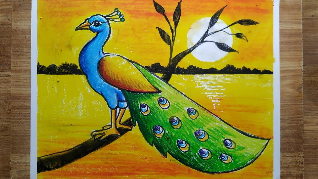 peacock drawing images with colour