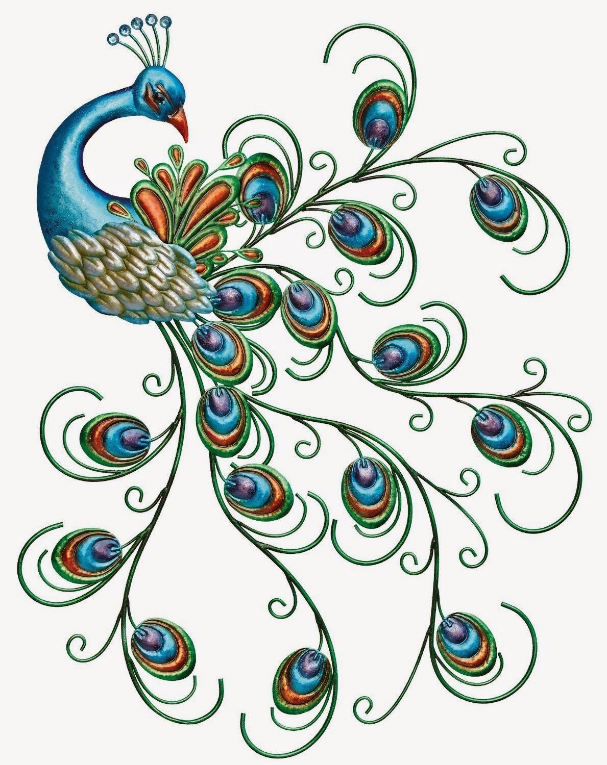 Peacock Drawing Images