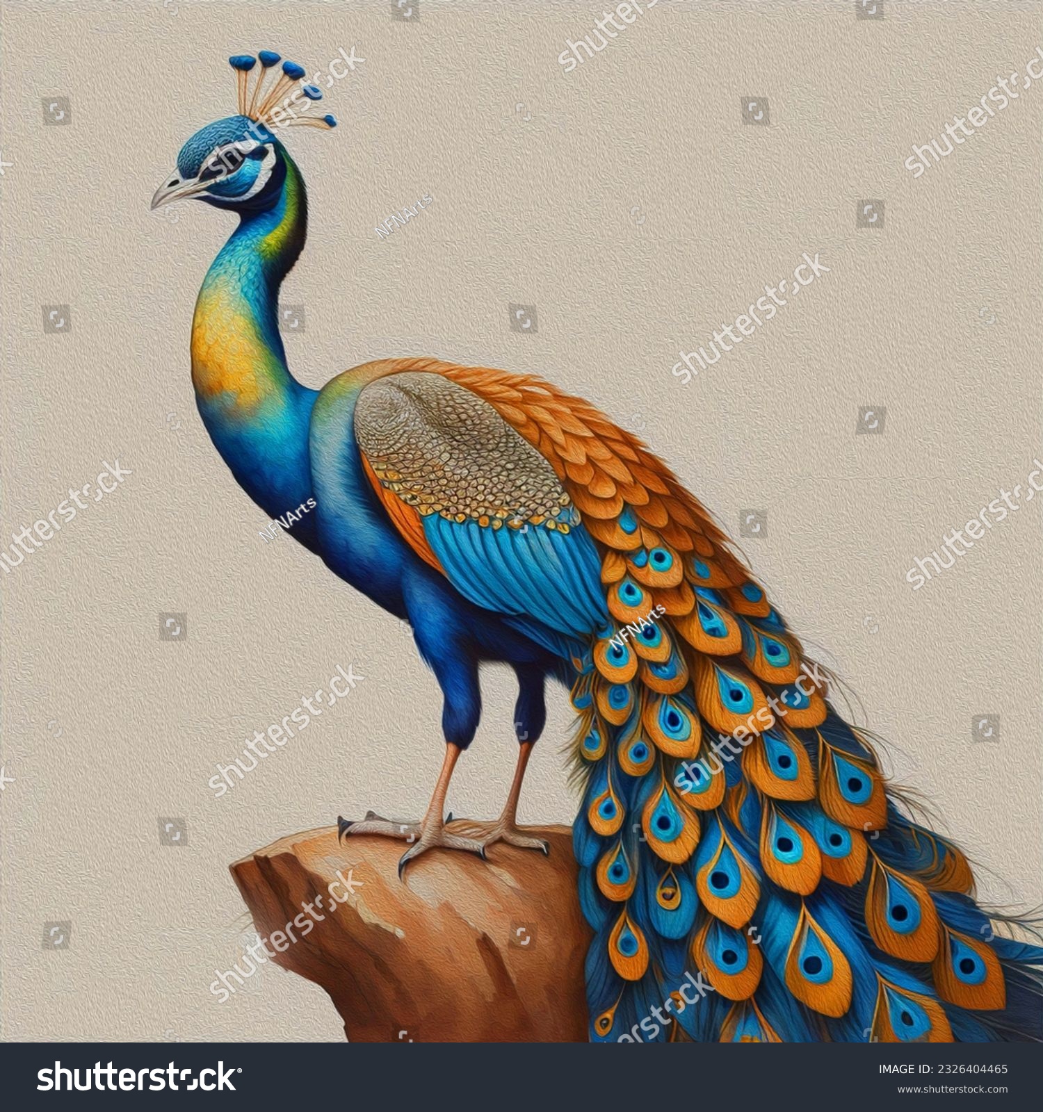 beautiful peacock drawing with colour