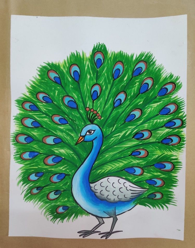 500+ best Peacock Drawing Images - Inspire your artistic emotions with ...