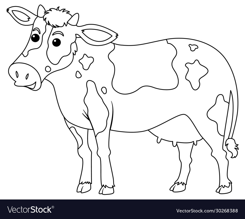 cow drawing images