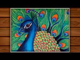 beautiful peacock drawing with colour