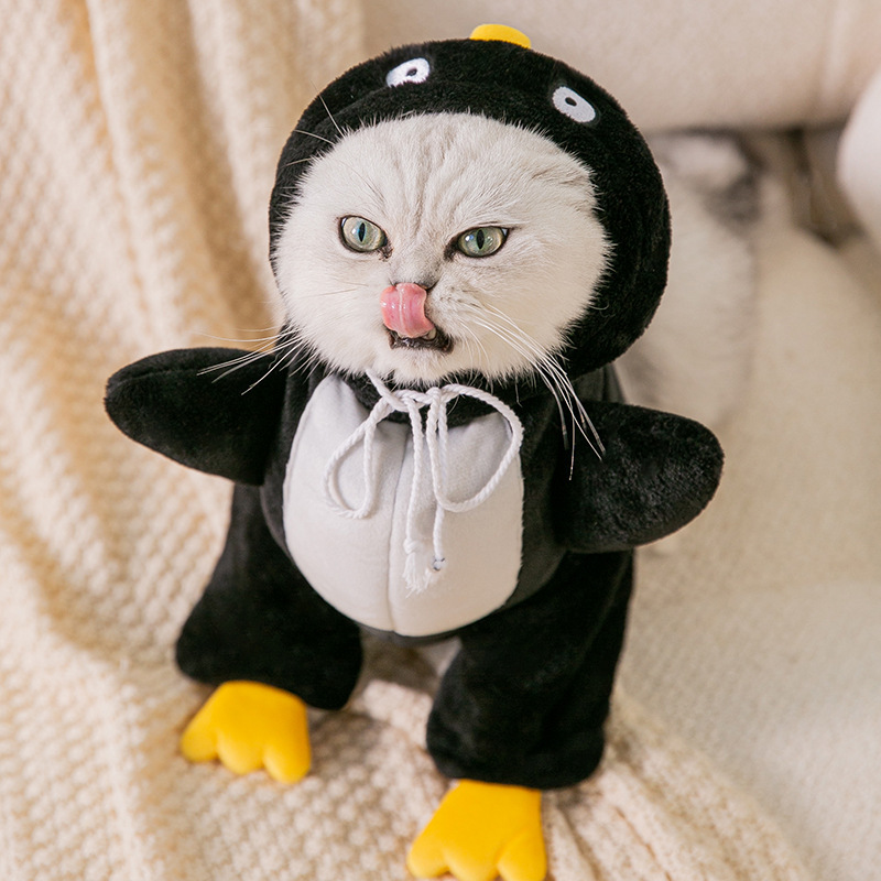 Cat in penguin top costume