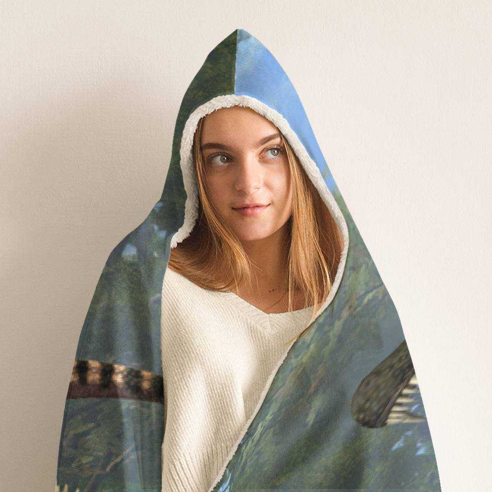 Dinosaur blanket with discount hood