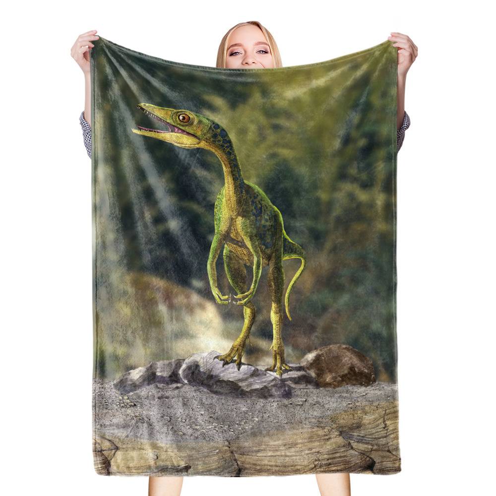 How big is best sale 55 x 80 blanket