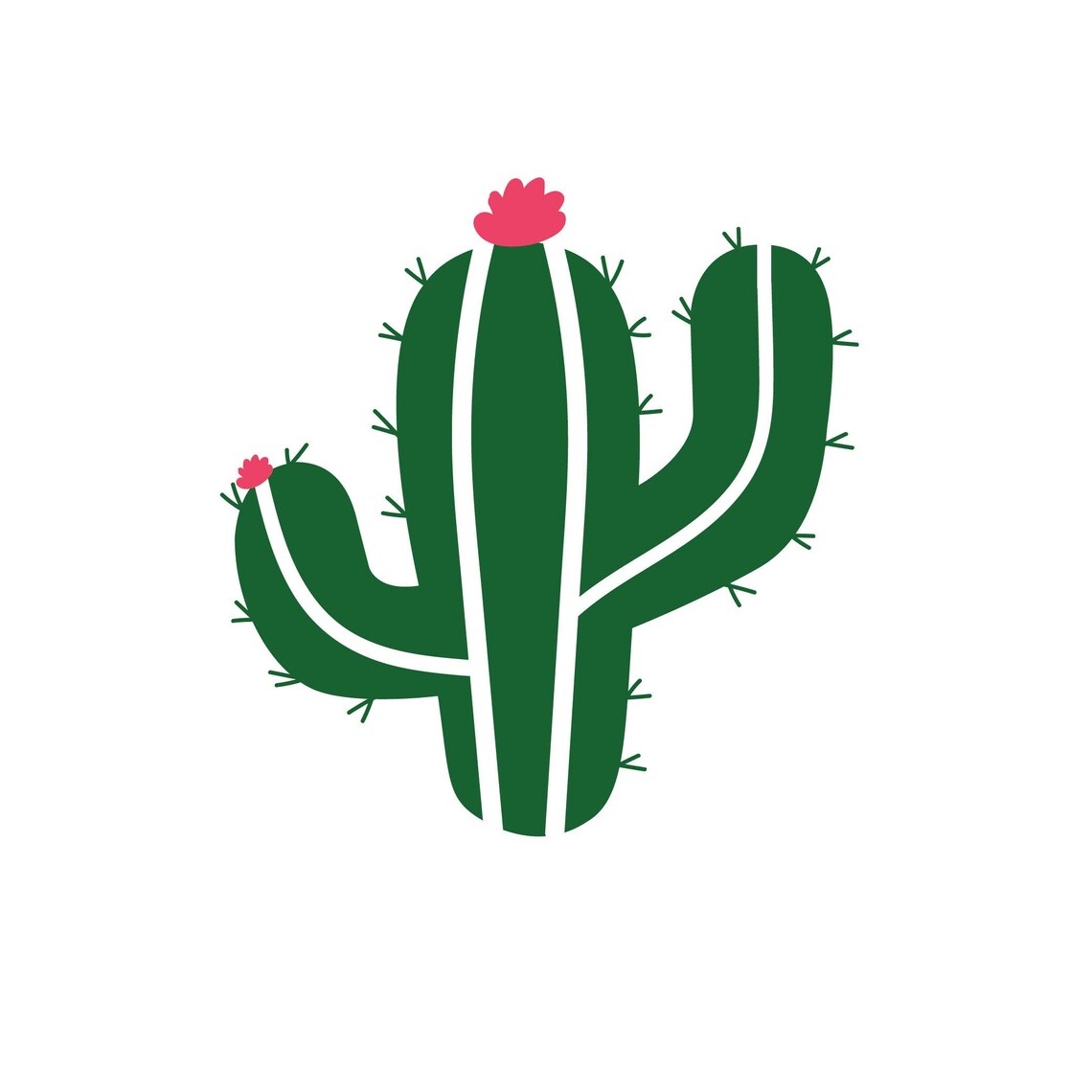 Succulent SVG Free High Quality Perfect for your Design | cactussvg.com